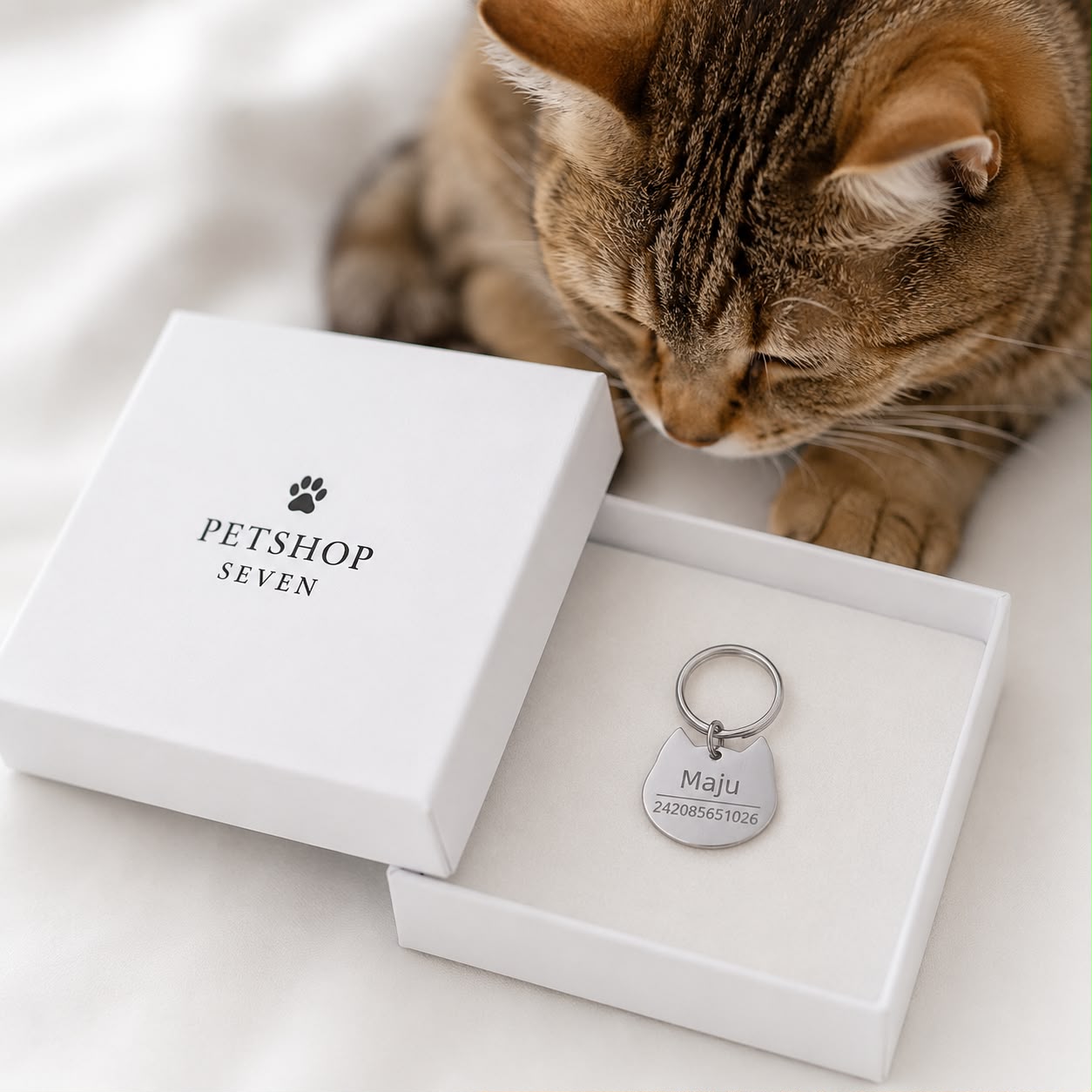Kattenpenning | Willow