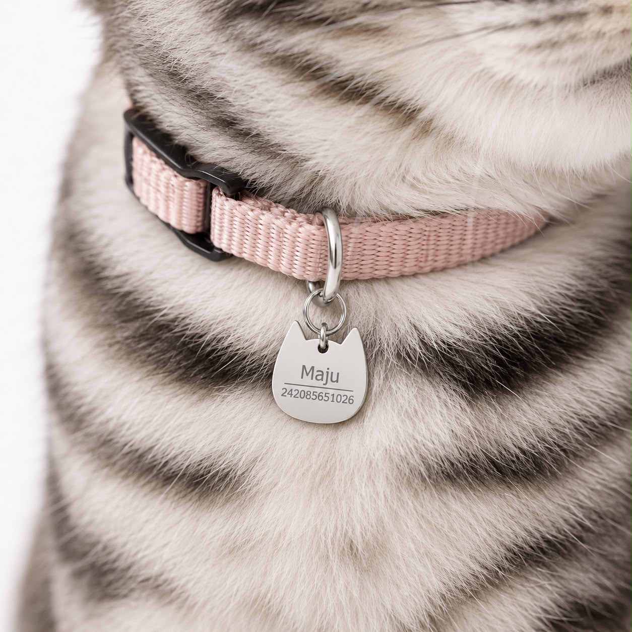 Kattenpenning | Willow