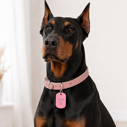 Dogtag | Cleo