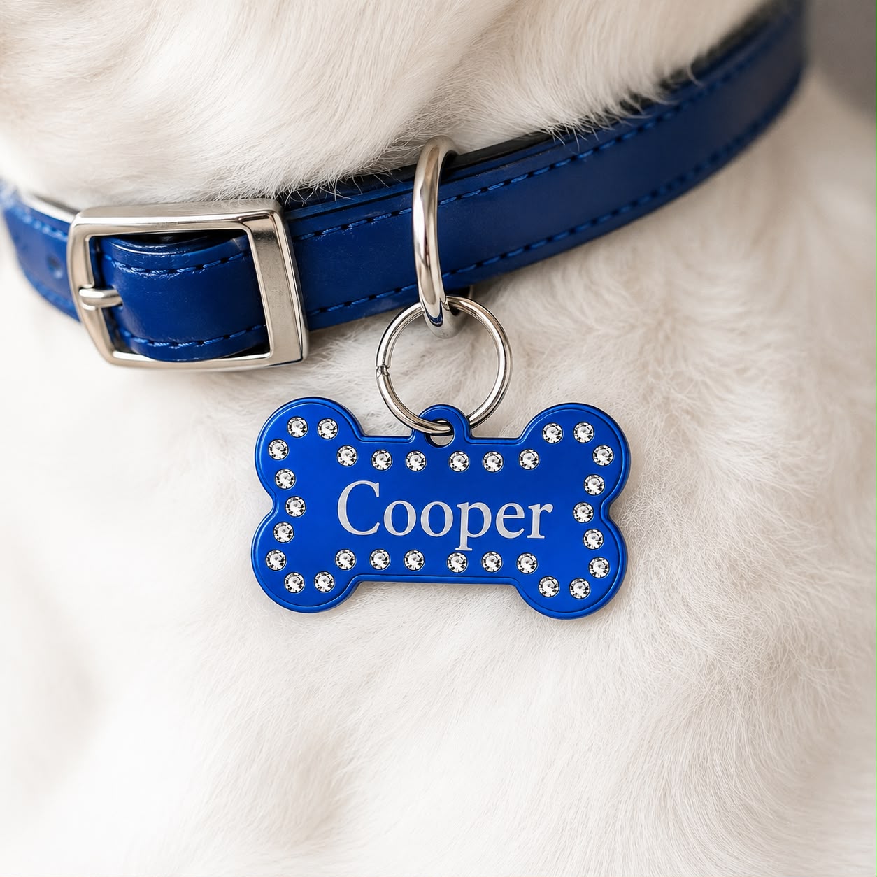 Dogtag | Glamour