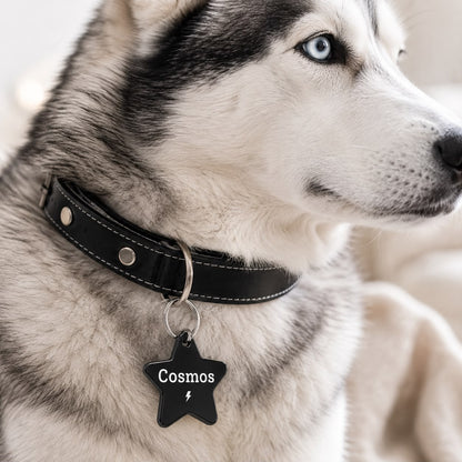Dogtag | Star