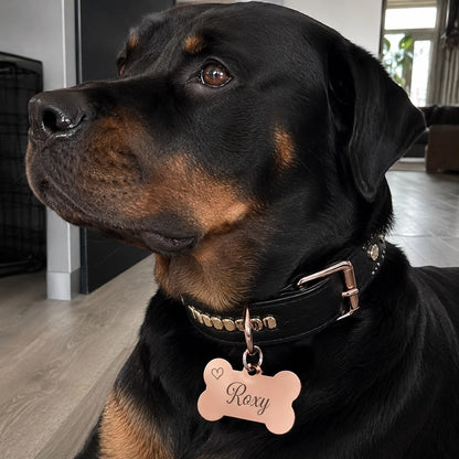 Dogtag | Thor