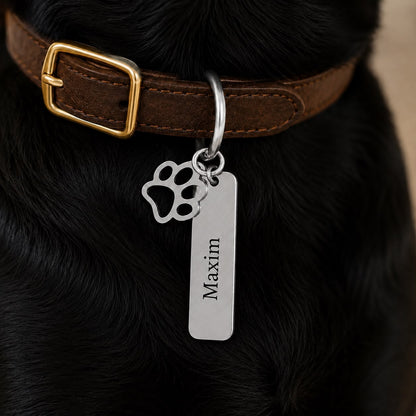 Dogtag | Maxim
