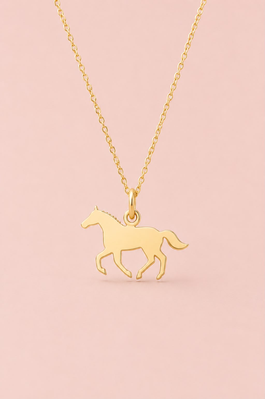 Paardensilhouette Ketting