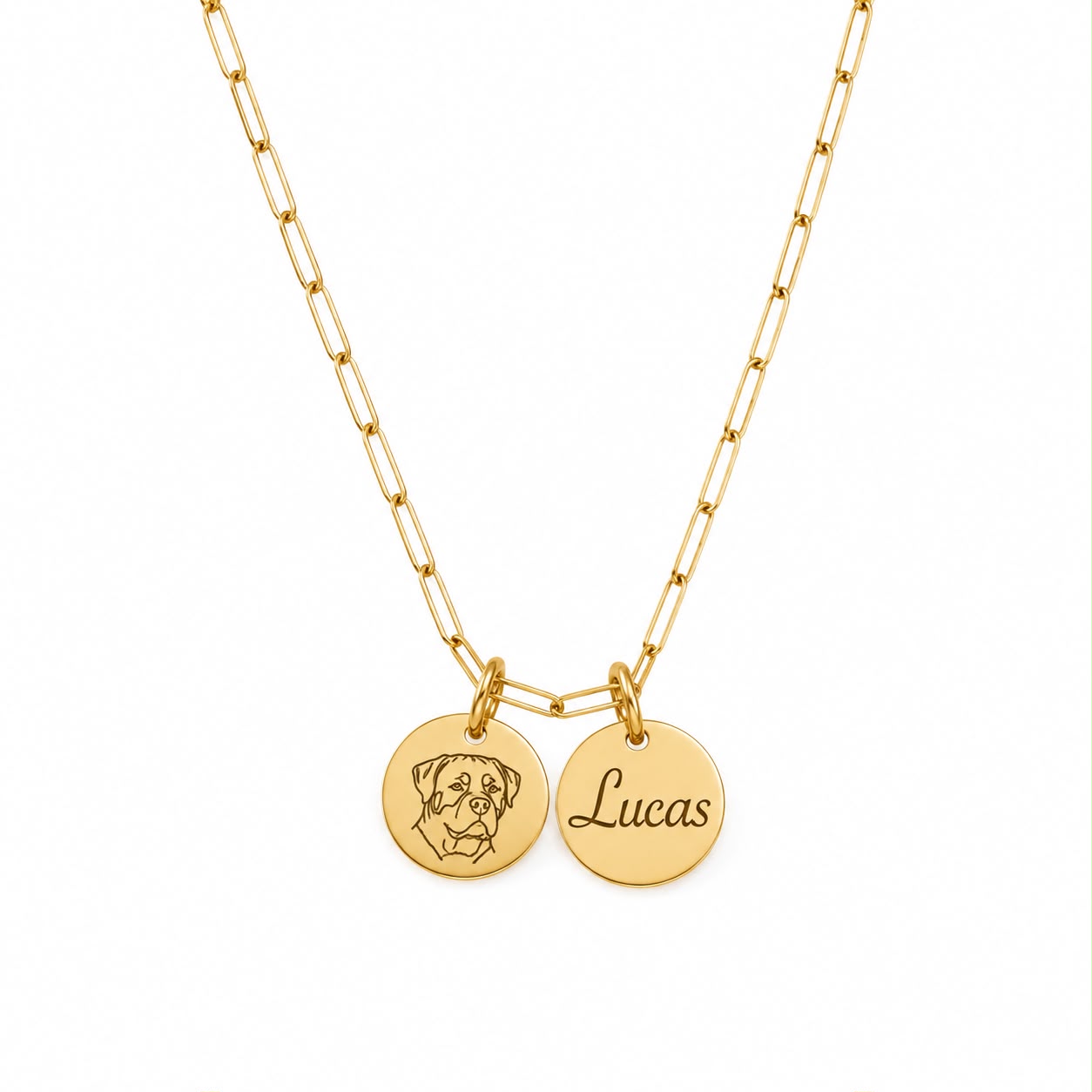 PetLove ketting | Dubbele hanger