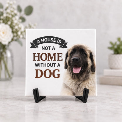 Tegel | A House is not a Home without a Dog
