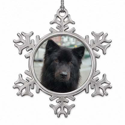 Sneeuwvlok