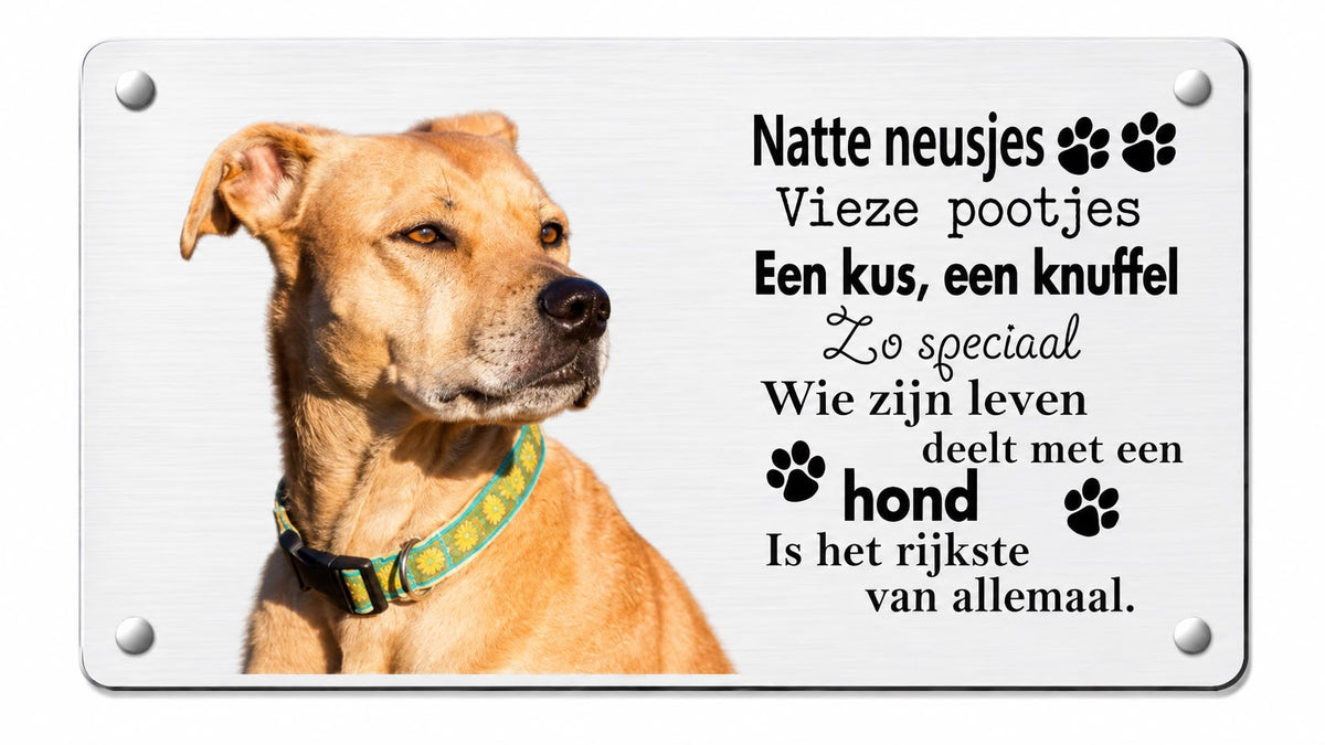 Deurbord | Natte Neusjes