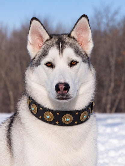 Halsband Royal Baron | Zwart