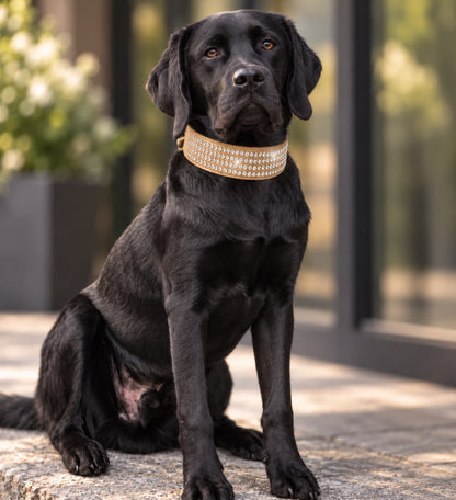 Golden Diamond Halsband