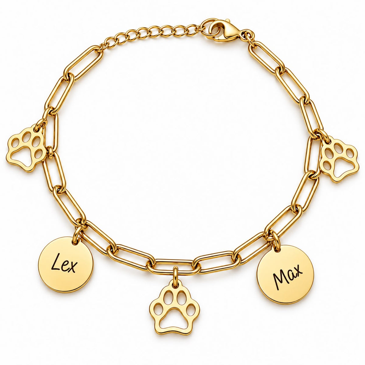 Armband | PawCoin Deluxe