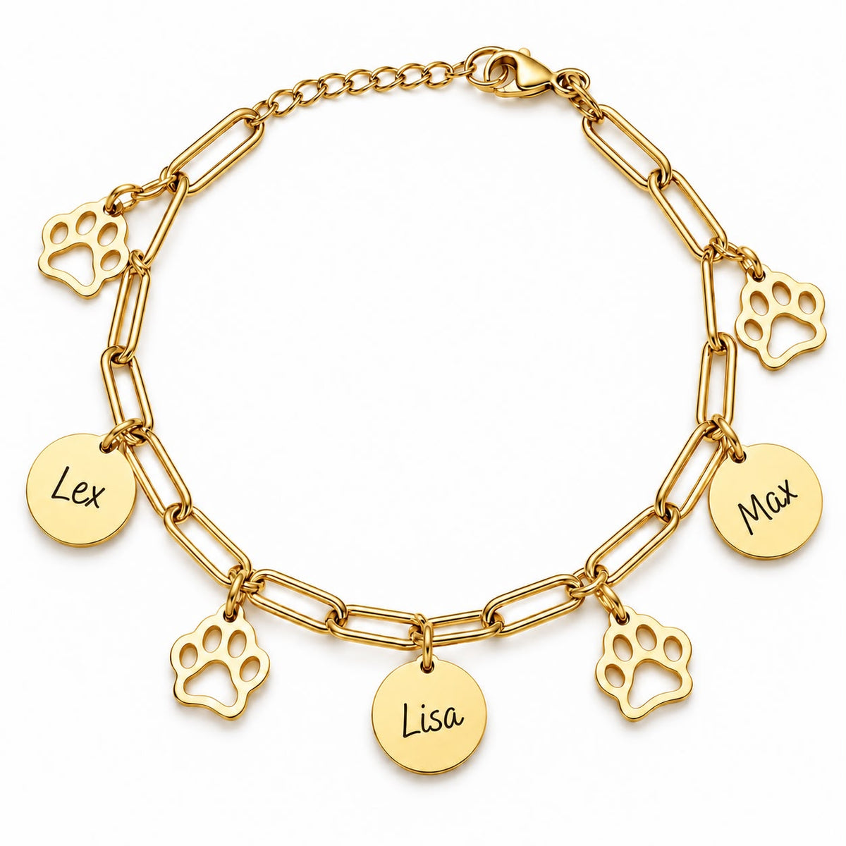 Armband | PawCoin Deluxe