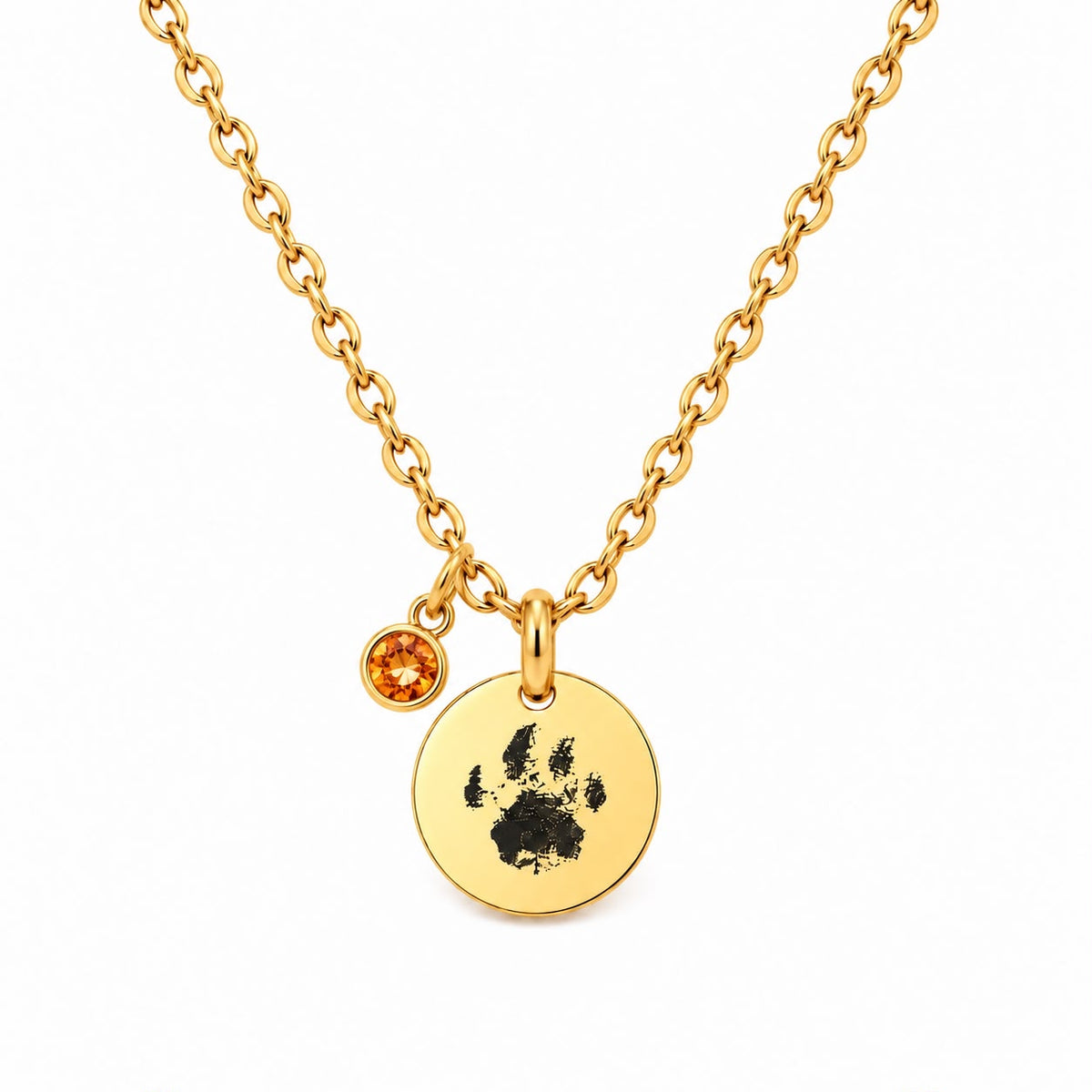 PawPrint Ketting | Rond