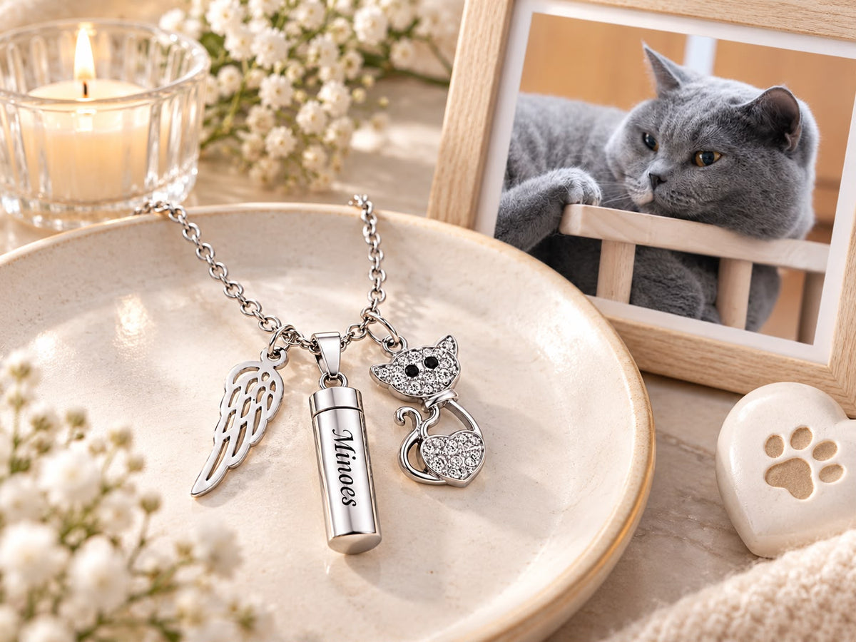 Ashanger a Cats Memory | Cilinder