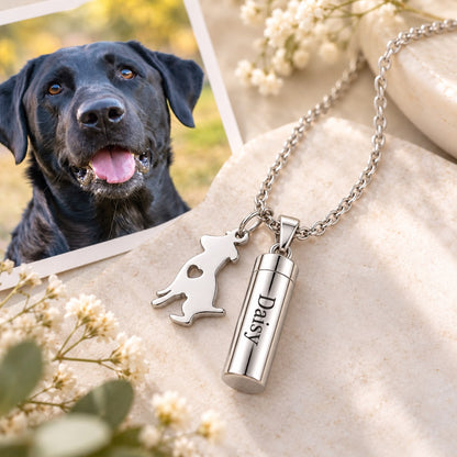 Ashanger a Dogs Memory | Cilinder