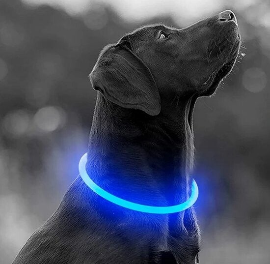 LED halsband USB oplaadbaar